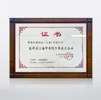 2020 專(zhuān)利工作試點(diǎn)企業(yè)