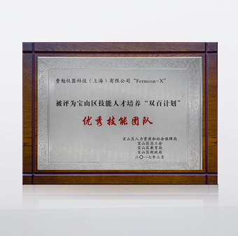 2017 優(yōu)秀技能團隊