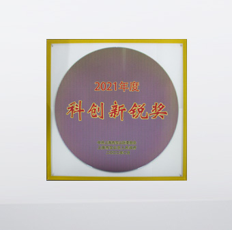 2021年度科創(chuàng  )新銳獎